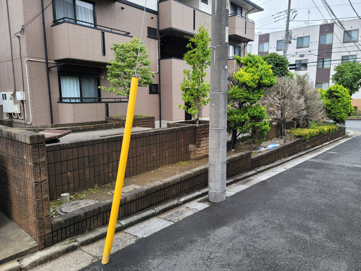 ギャラリー